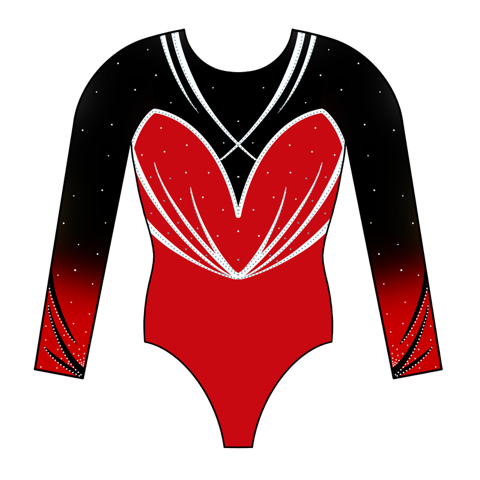 Sparkel and Dream — Manches longues — Igny Gym